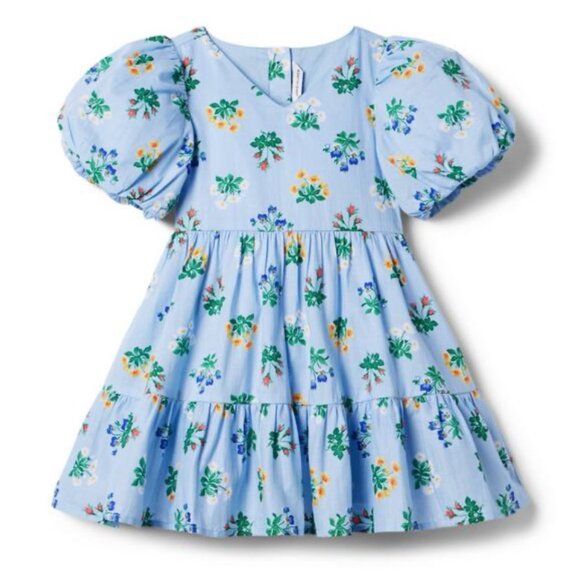 Baby Floral Dress Cotton Janie & Jack blue puff sleeve dress 6-12 mos - Picture 7 of 7